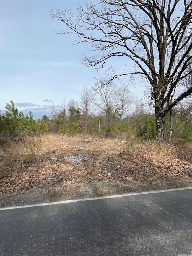 0 Sorrells Rd, Pine Bluff, AR 71603 - photo 6