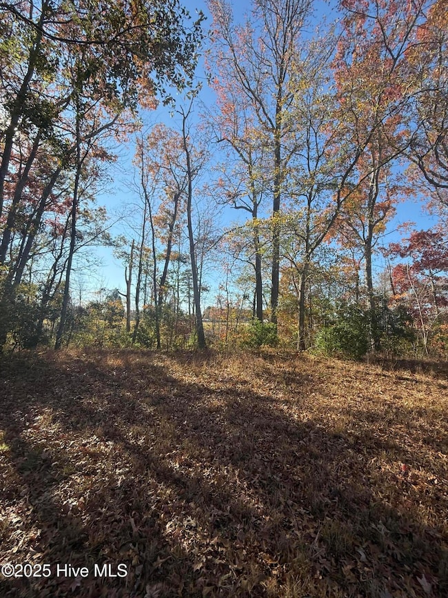 136 Bridgewater South Dr, Bath, NC 27808 - photo 5