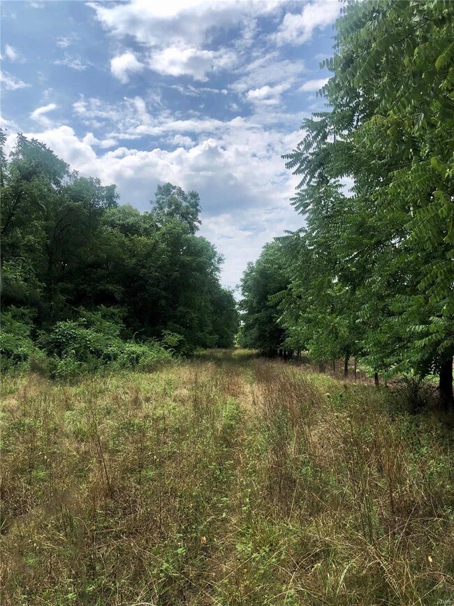 13466 State Route W, Newburg, MO 65550 - photo 3