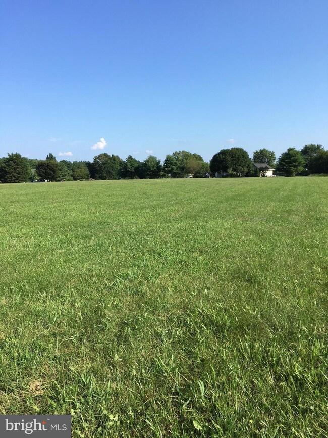 8920 Orchard Dr, Chestertown, MD 21620 - photo 2