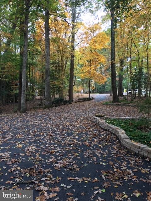 11300 Lapham Dr, Oakton, VA 22124 - photo 4