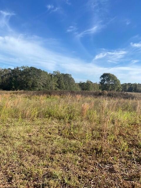 unlisted-address, Franklinton, LA 70438 - photo 3