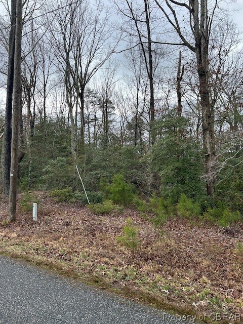 View of nature