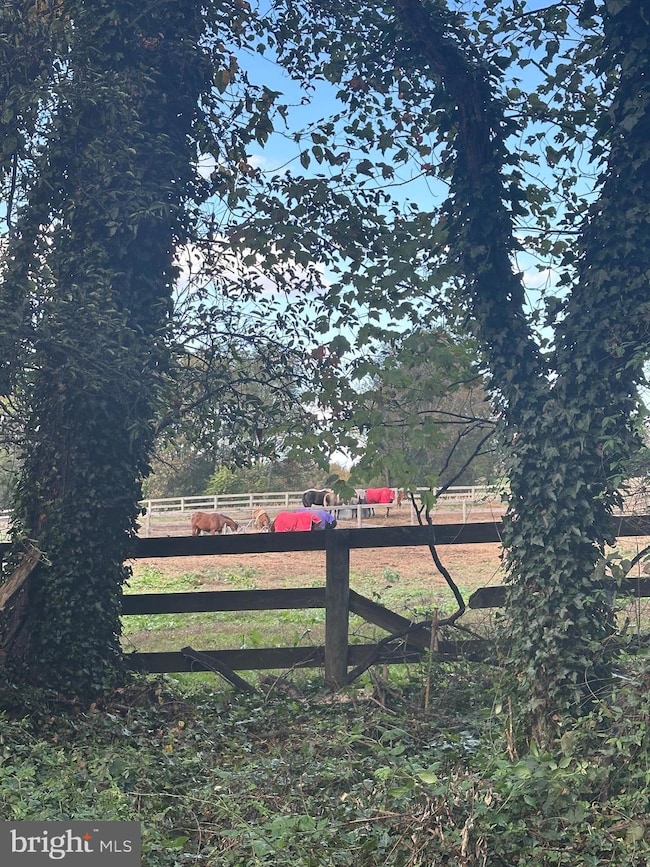 18524 Beallsville Rd, Poolesville, MD 20837 - photo 7