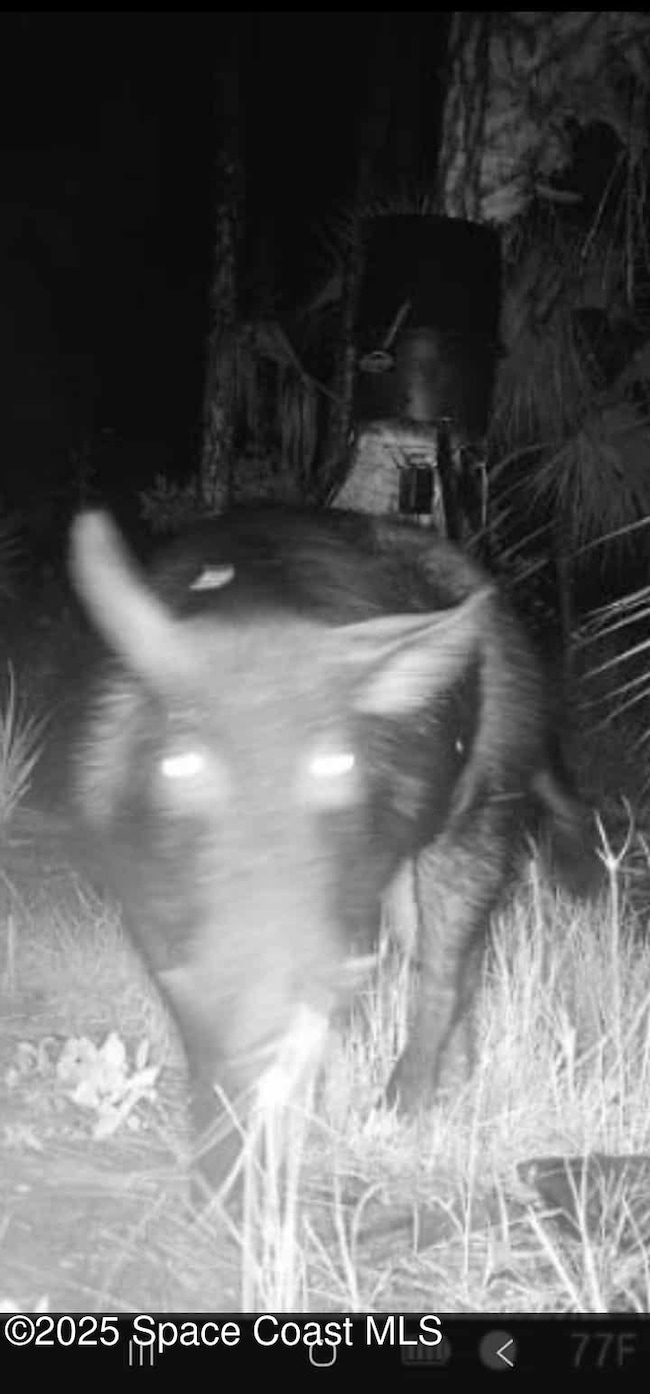 0 Unknown unit 1056008, Malabar, FL 32950 - photo 4