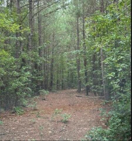 1.90 Old Edgefield Rd, Ninety Six, SC 29666 - photo 5