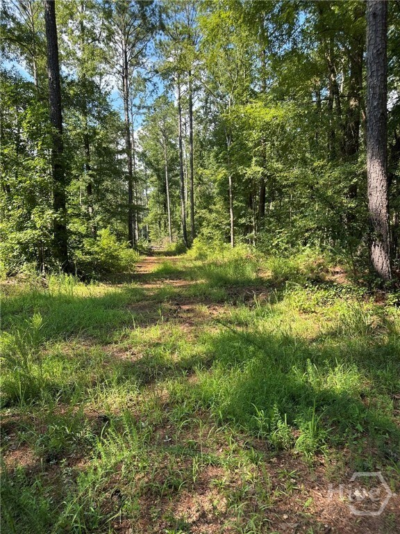 0 Fears Rd unit CL344239, Madison, GA 30650 - photo 4