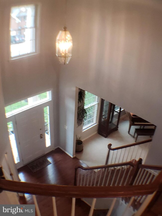 42517 Mandolin St, Chantilly, VA 20152 - photo 6