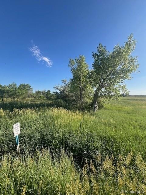 8523 Hygiene Rd, Longmont, CO 80503 - photo 6