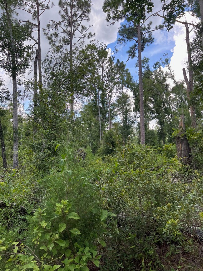 17582 14th St, Live Oak, FL 32060 - photo 7