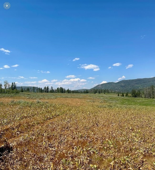 Photo of actual land and view from land