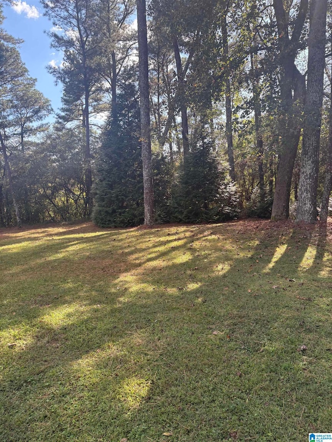 1055 Page Springs Rd, Blountsville, AL 35031 - photo 5