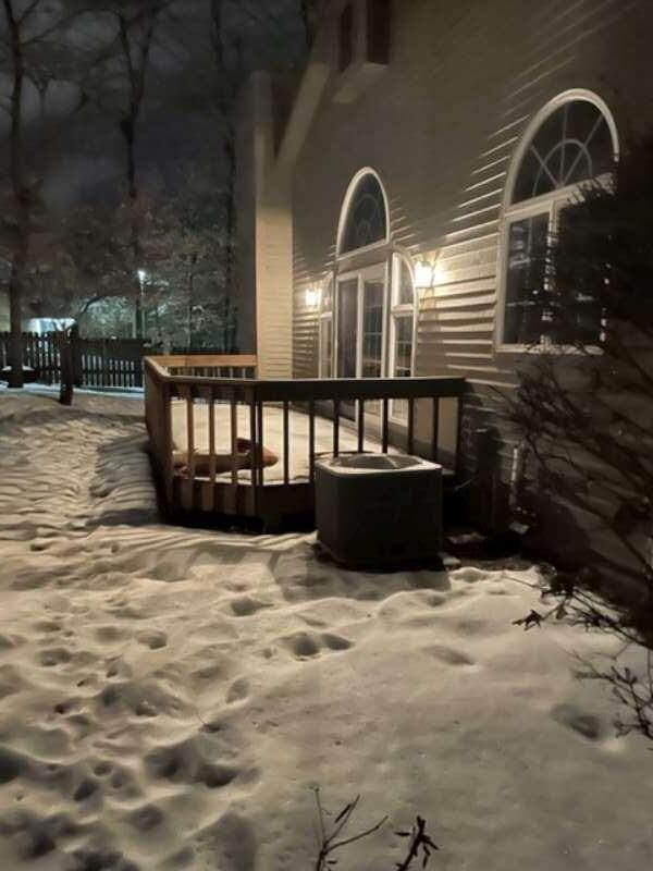deck