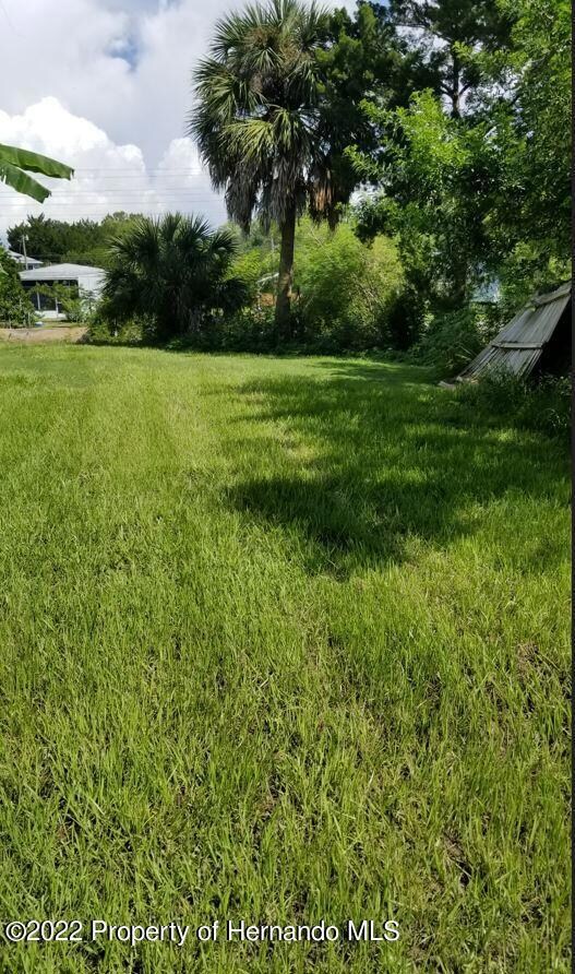 Capri Ln 3