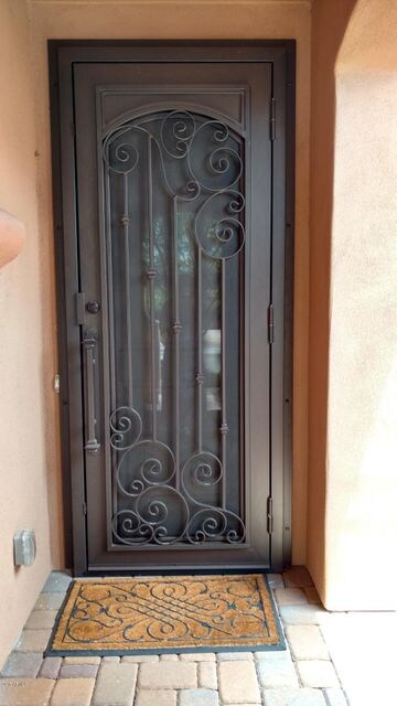 Custom Security Door-30871 N 138Av