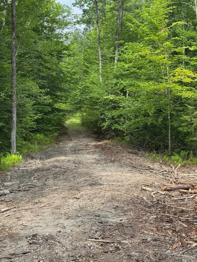 Level Driveway to a Possible Building Site