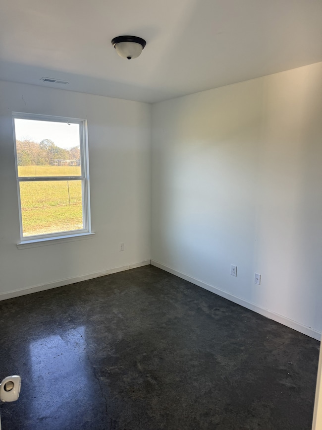 3702 Mealer Rd unit A, Chapel Hill, TN 37034 - photo 6