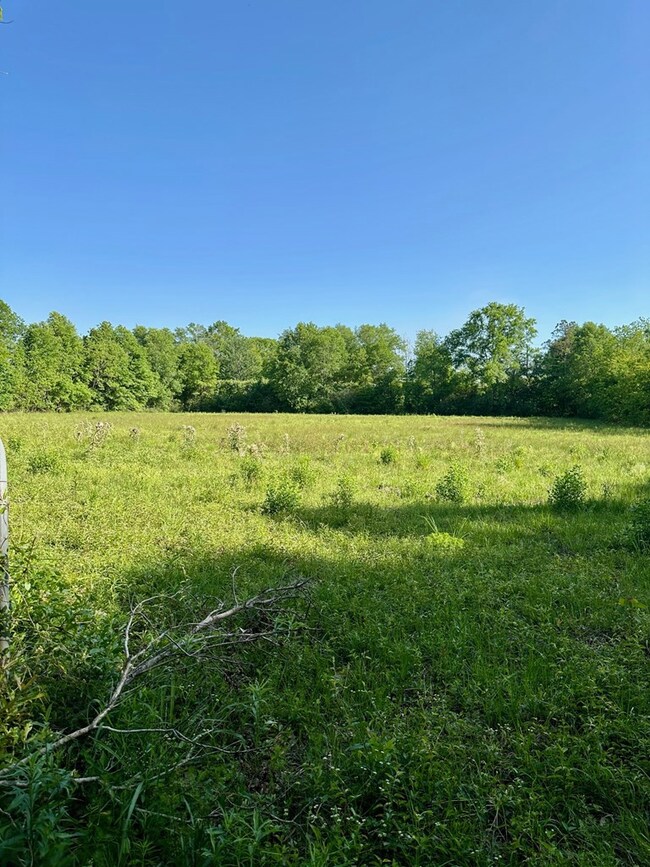 000 Moeller Rd, Picayune, MS 39466 - photo 3