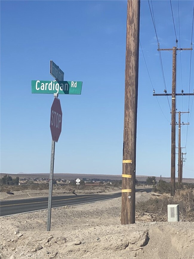 0 Delmonico Rd unit TR24226685, Oro Grande, CA 92368 - photo 6