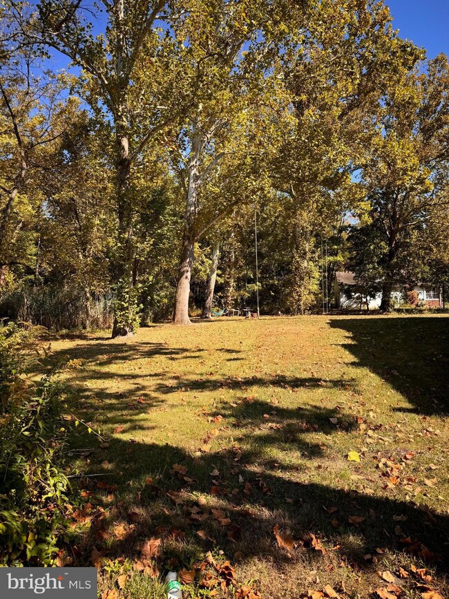 175 Washington Rd, Princeton, NJ 08540 - photo 7