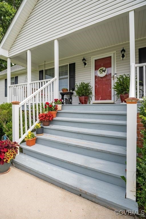 Concrete sidewalk with wide steps leading to full