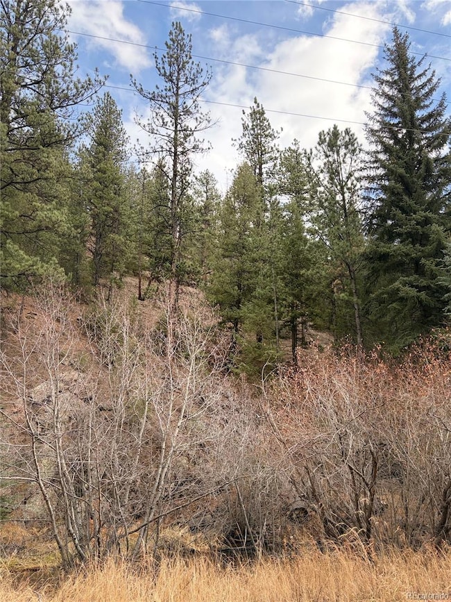 00000 S Elk Creek Rd, Pine, CO 80470 - photo 6