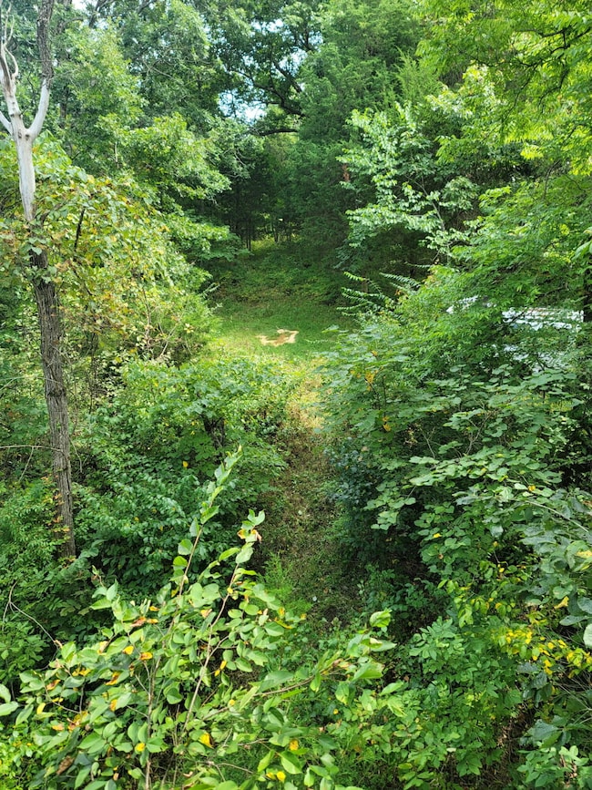 300 Goebel White Rd, Carlisle, KY 40311 - photo 3