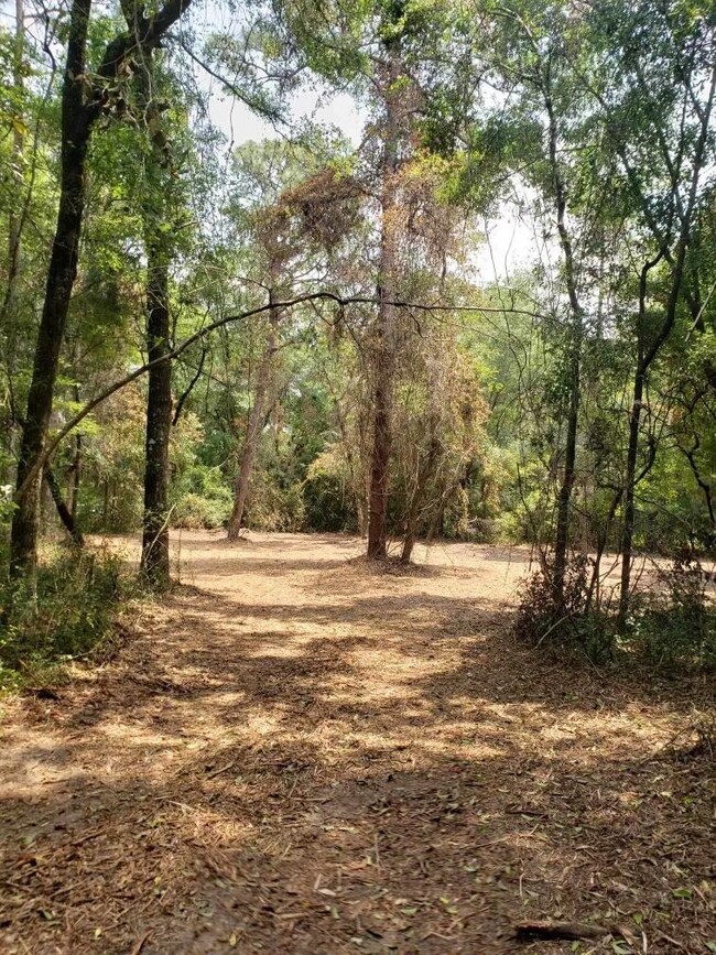 xx Shadeville Rd, Crawfordville, FL 32327 - photo 3