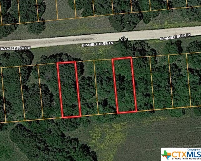 76 & 82 Bramble Bush Dr, Point Resort, TX 76513 MLS 524929