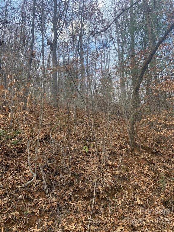 0 Cherokee Mine Rd, Franklin, NC 28734 - photo 6