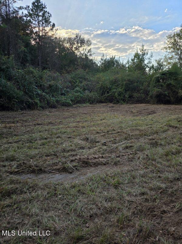 125 Moses Ln, Prentiss, MS 39474 - photo 4