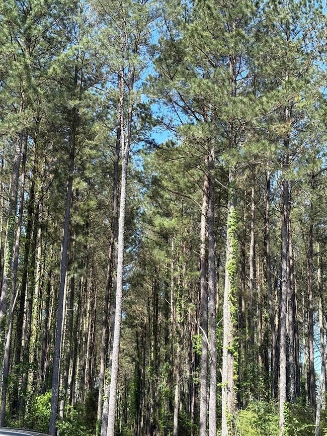 30 Sassy Ln, Laurel, MS 39443 - photo 2