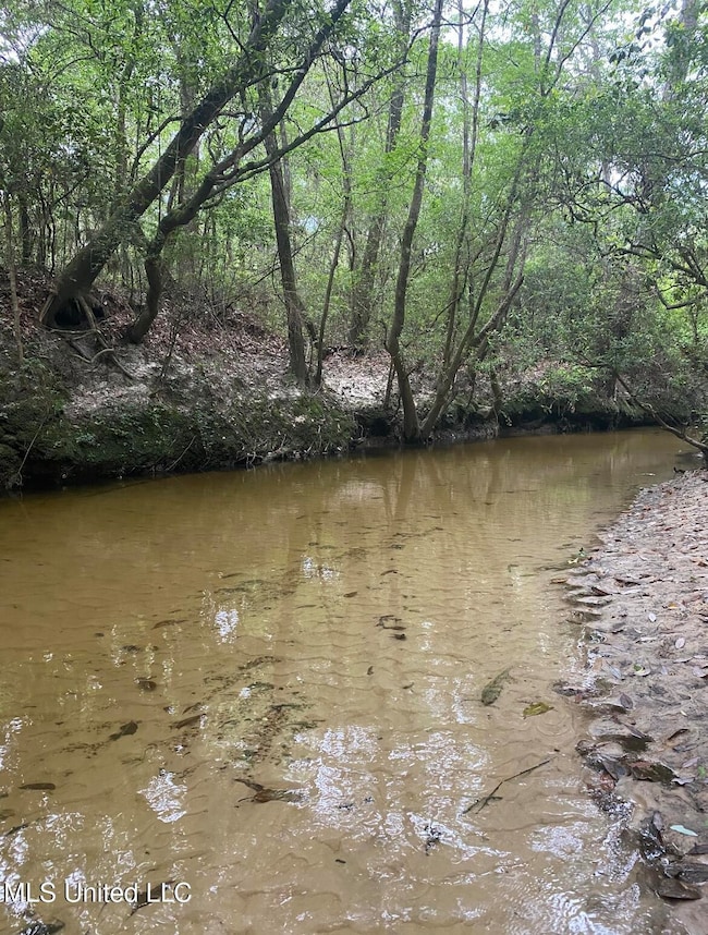 0 10 35 Ac Barton Agricola Rd, Lucedale, MS 39452 - photo 2