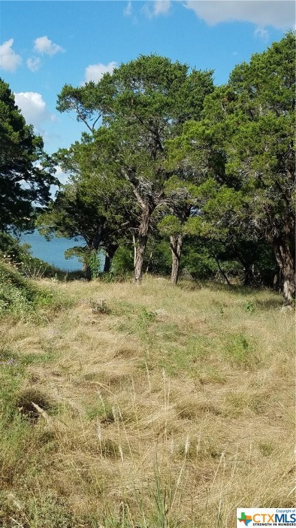 5561 Cliff Ln, Temple, TX 76502 - photo 2