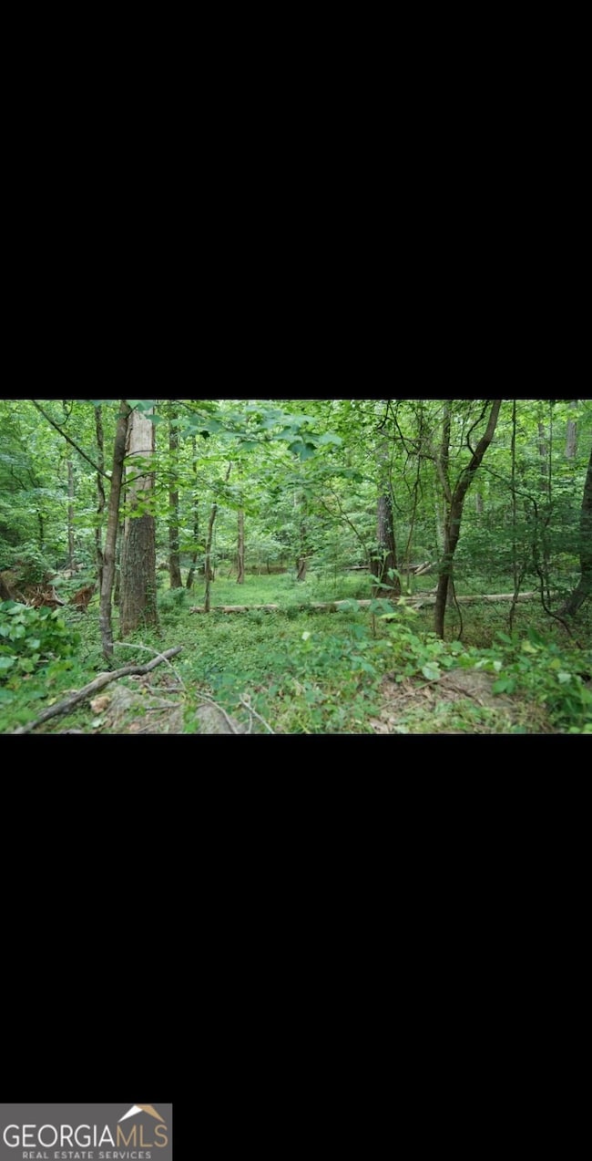 2877 Heather Row Ridge SW, Lilburn, GA 30047 - photo 6