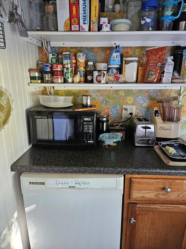 5372 Deep Hole Rd, Chincoteague Island, VA 23336 - photo 6