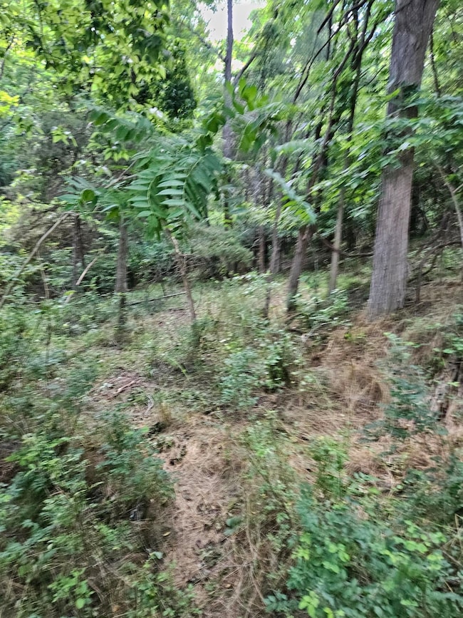 3.39 acres Mossy Creek Rd, Mount Solon, VA 22843 - photo 3