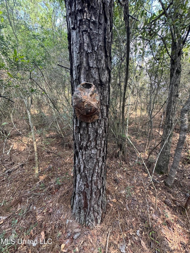 0 Doe Ridge Highland, Lucedale, MS 39452 - photo 4