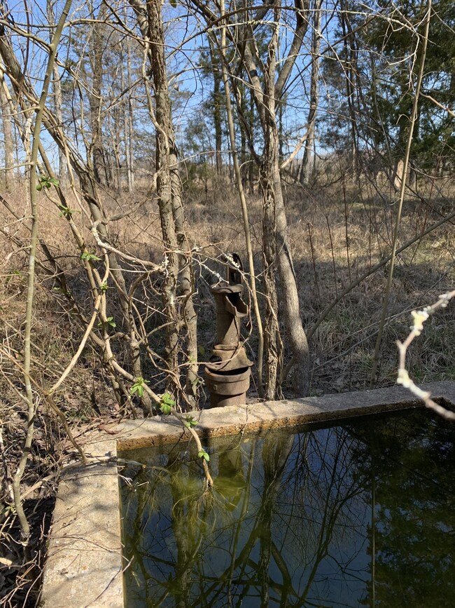 0 Central Pike unit RTC3048116, Lebanon, TN 37090 - photo 3