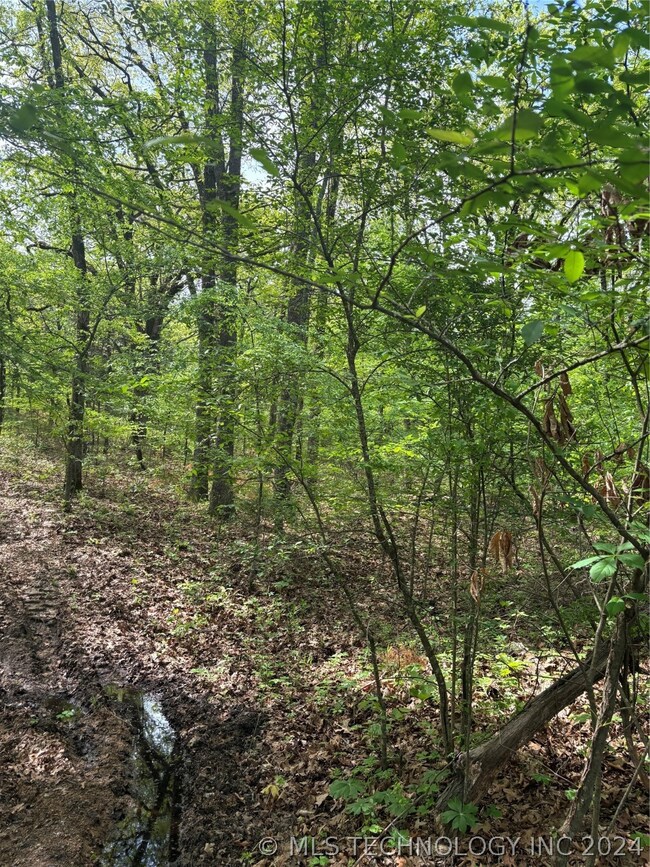 0 W Mt Carmel Rd unit 2413375, Atoka, OK 74525 - photo 6