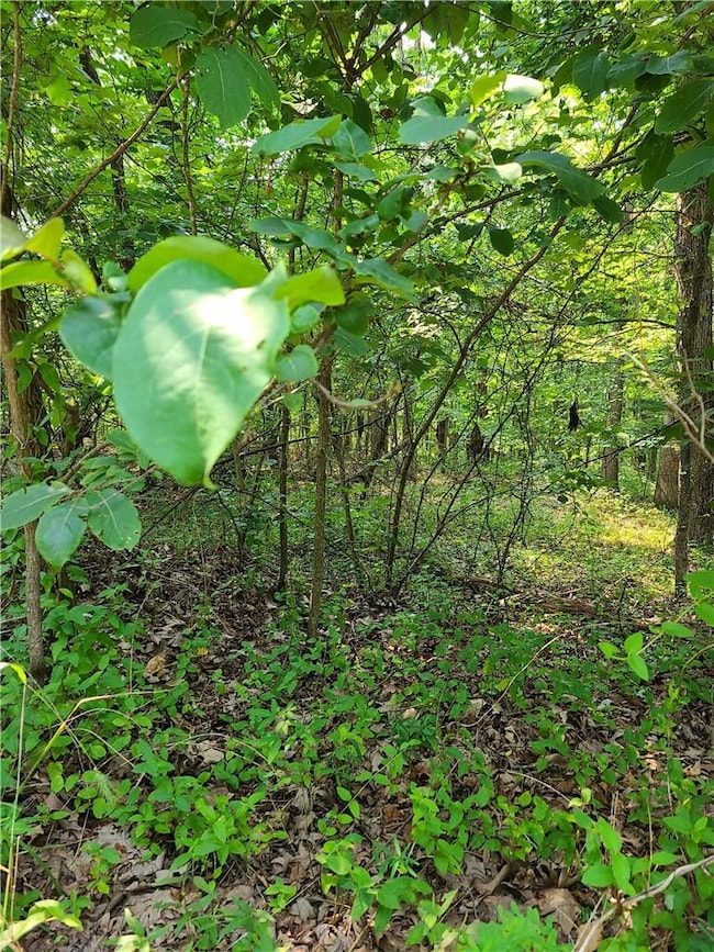 0 Lot 4 Chatburn Dr unit 1192140, Bella Vista, AR 72715 - photo 5