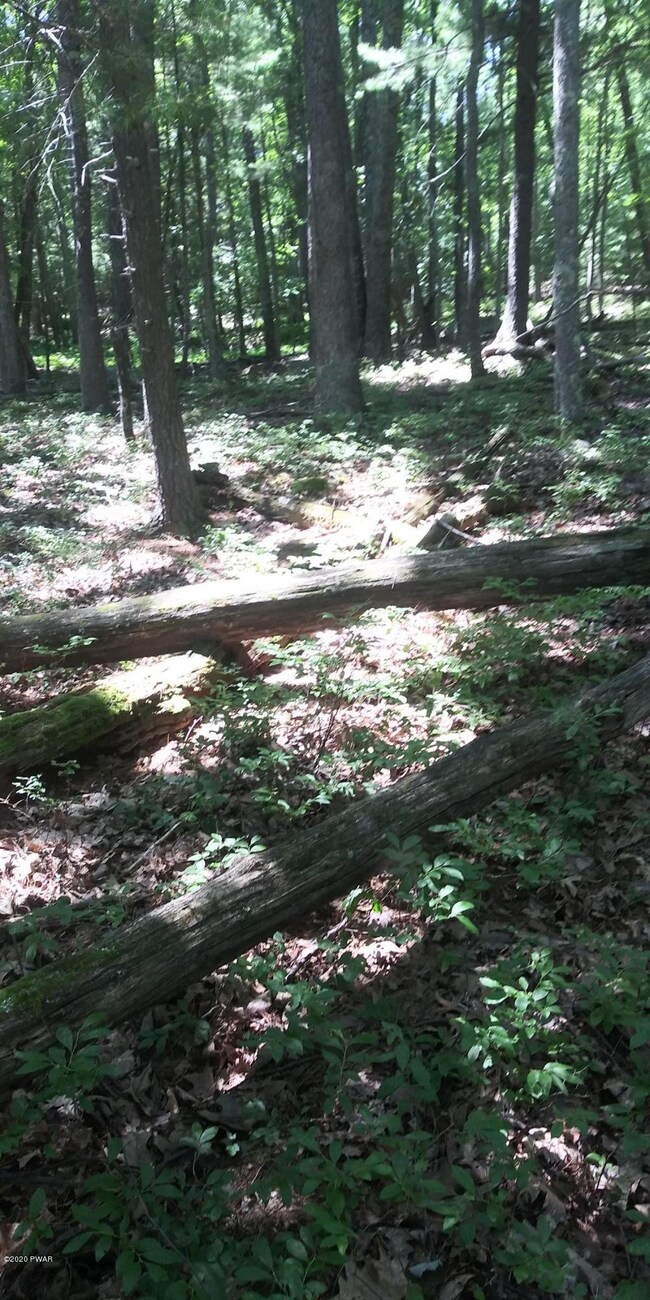 792 Tink Wig Dr, Lackawaxen Township, PA 18428 - photo 2