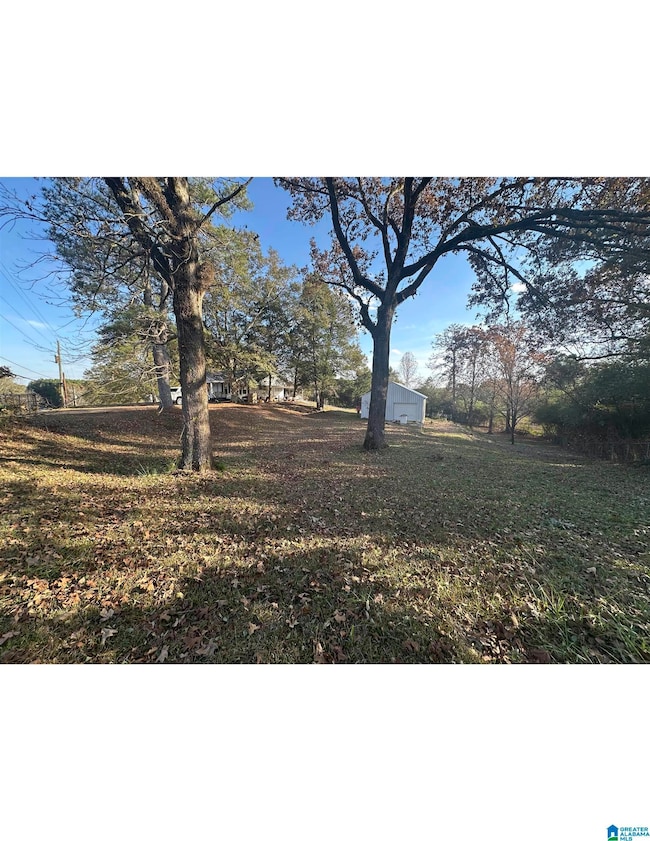 2641 Trafford County Line Rd, Trafford, AL 35172 - photo 3