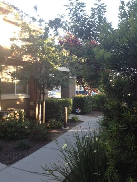 Mature landscaping.