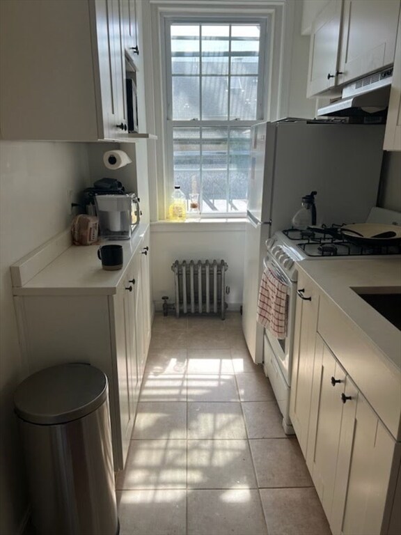 393 Broadway unit 14, Cambridge, MA 02139 - photo 5