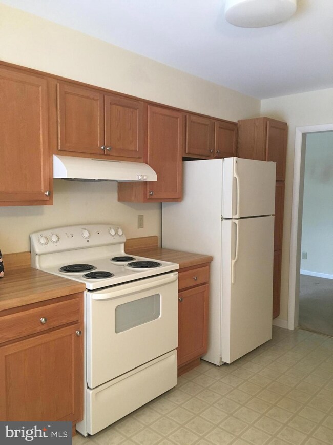 500 Chapel Ct unit 215, Walkersville, MD 21793 - photo 3