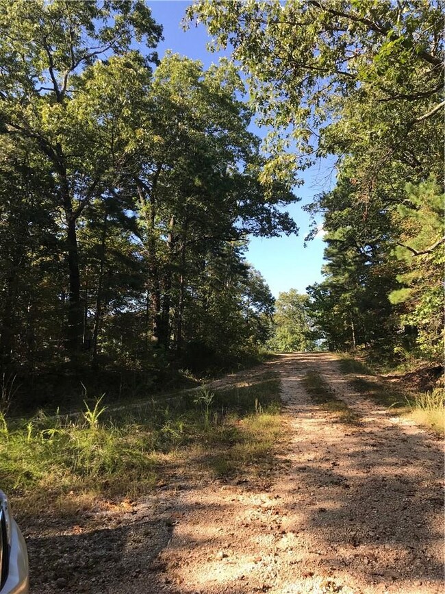 0 Burghley Ln unit 1129653, Bella Vista, AR 72714 - photo 3