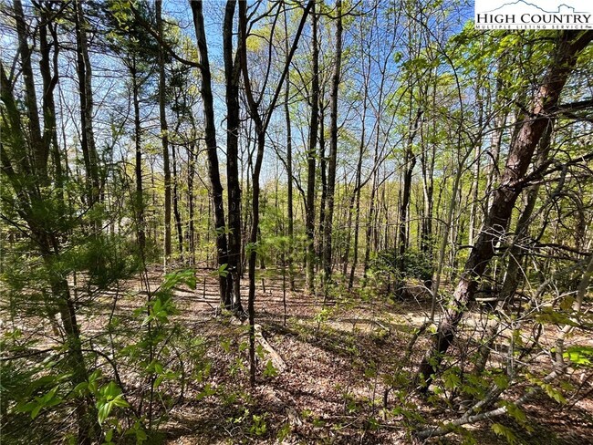 Lot #3 Flat Mountain Rd, Lenoir, NC 28645 | MLS# 238092 | Homes.com