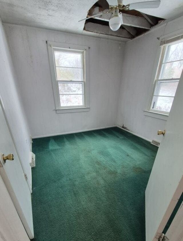 353 Clarks Hill Ln, Schuyler, VA 22969 - photo 4