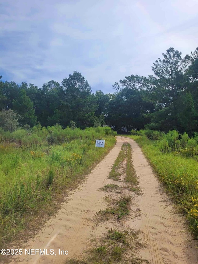 347 Chesser Monroe Rd, Hawthorne, FL 32640 - photo 2